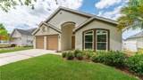 11708 Carrollwood Cove Drive - Photo 2