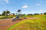 3709 Savanna Palms Court - Photo 47