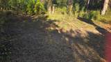 1231 Ramus Street - Photo 2