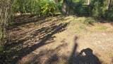 1231 Ramus Street - Photo 3