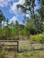 1231 Ramus Street - Photo 5