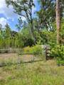 1231 Ramus Street - Photo 6