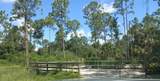1231 Ramus Street - Photo 9