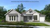 19844 English Walnut Place - Photo 1