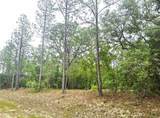 576 Nemo Drive - Photo 4