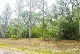 576 Nemo Drive - Photo 6