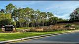 576 Nemo Drive - Photo 8