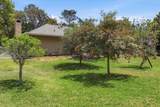 35 Douglas Street - Photo 33