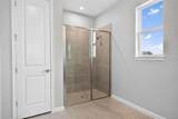 13136 Oxeye Lane - Photo 19