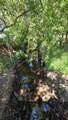 Gallagher Road - Photo 5