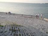 2700 Bayshore Boulevard - Photo 28