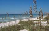 2700 Bayshore Boulevard - Photo 30