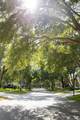 1511 Mccrea Drive - Photo 6
