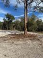 Berryhill Drive - Photo 2