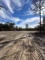  Berryhill Drive - Photo 5