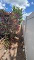 8923 Candlewick Lane - Photo 22