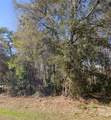  Key Lime - Photo 2