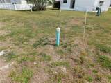37804 Newal Avenue - Photo 5