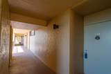 2620 Cove Cay Drive - Photo 37