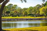 2620 Cove Cay Drive - Photo 53