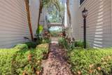 3315 De Leon Street - Photo 3