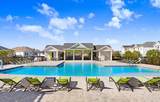 28793 Sweet Persimmon Drive - Photo 31
