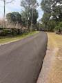 000 Palomino Lakes Dr - Photo 14