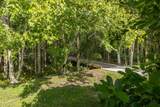 18814 Place Antibes - Photo 48