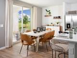 638 Pennywort Street - Photo 2