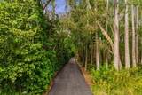8817 Roberts Road - Photo 92