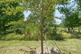 1295 White Fox Run - Photo 33