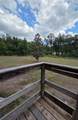 27440 Winchester Drive - Photo 10