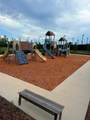 6259 Back Forty Loop - Photo 20