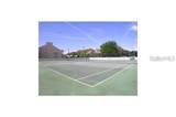 3301 Bayshore Boulevard - Photo 28