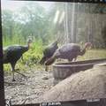 18233 185TH RD - Photo 100