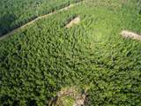 18233 185TH RD - Photo 47