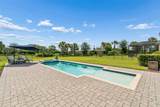 32732 Tree Of Life Avenue - Photo 39