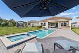 32732 Tree Of Life Avenue - Photo 42