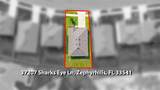 37207 Sharks Eye Lane - Photo 42