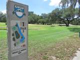 36650 Dina Drive - Photo 41