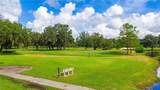 36650 Dina Drive - Photo 44