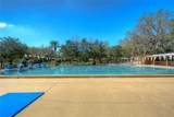 3810 Turkey Oak Drive - Photo 48