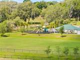 30067 Fedora Circle - Photo 40