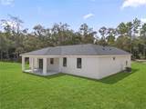 35425 Nutmeg Drive - Photo 44