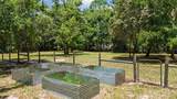 10933 Pinto Drive - Photo 55