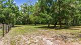 10933 Pinto Drive - Photo 57
