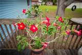 5015 Turkey Creek Road - Photo 20