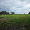 Vernon Dairy - Photo 1