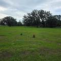 Vernon Dairy - Photo 2