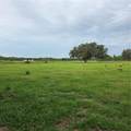  Vernon Dairy - Photo 3